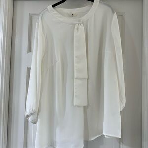 Agnes Orinda Blouse color white size 2X